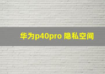 华为p40pro 隐私空间